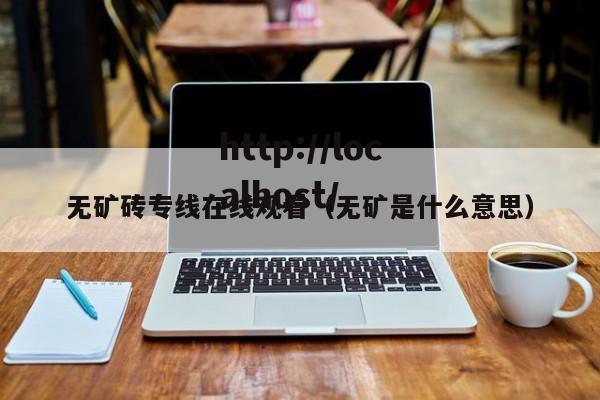 无矿砖专线在线观看（无矿是什么意思）
