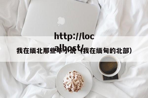 我在缅北那些年小说（我在缅甸的北部）